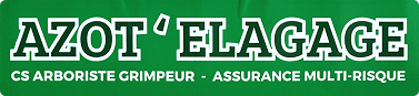 AZOT' ELAGAGE | Élagueur à La Plaine-des-Palmistes