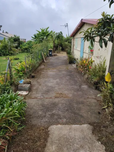 Remise en état d'un terrain pour une vente immobilière à la Plaine-des-Palmistes, La Plaine-des-Palmistes, AZOT' ELAGAGE
