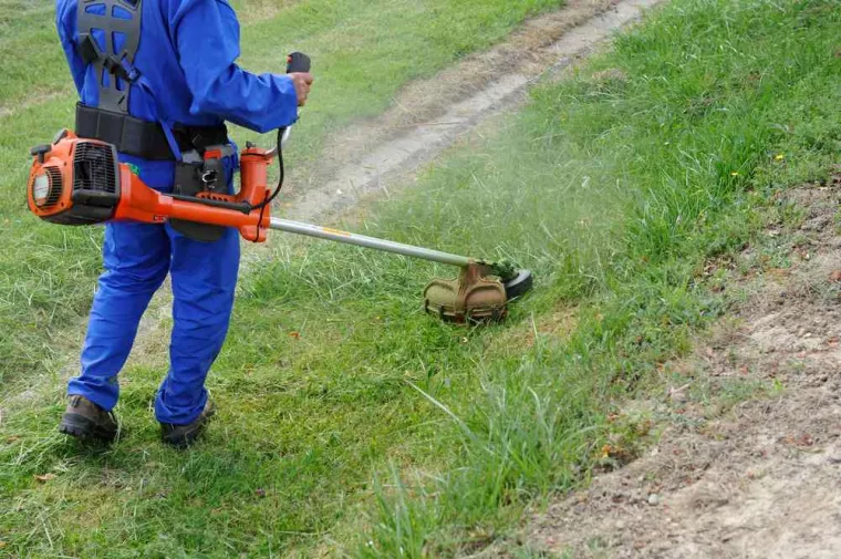 Débroussaillage complet d'un terrain en pente, La Plaine-des-Palmistes, AZOT' ELAGAGE