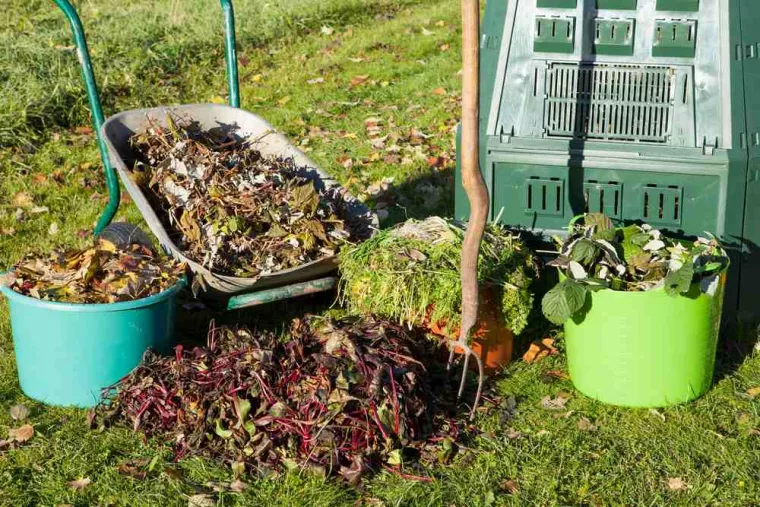 Faire appel à une entreprise pour évacuer les déchets suite à l'intervention d'un paysagiste, La Plaine-des-Palmistes, AZOT' ELAGAGE
