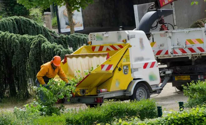 Broyage de branches , La Plaine-des-Palmistes, AZOT' ELAGAGE