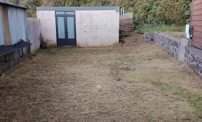 Débroussaillage, La Plaine-des-Palmistes, AZOT' ELAGAGE