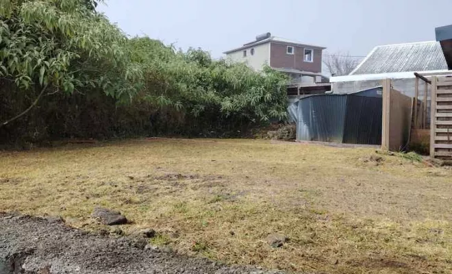 Débroussaillage, La Plaine-des-Palmistes, AZOT' ELAGAGE