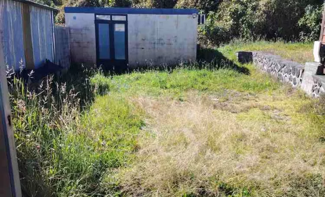 Débroussaillage, La Plaine-des-Palmistes, AZOT' ELAGAGE