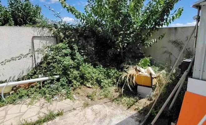 Débroussaillage, La Plaine-des-Palmistes, AZOT' ELAGAGE
