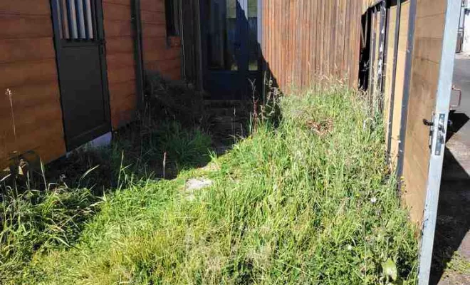 Débroussaillage, La Plaine-des-Palmistes, AZOT' ELAGAGE