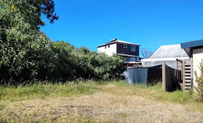 Débroussaillage, La Plaine-des-Palmistes, AZOT' ELAGAGE