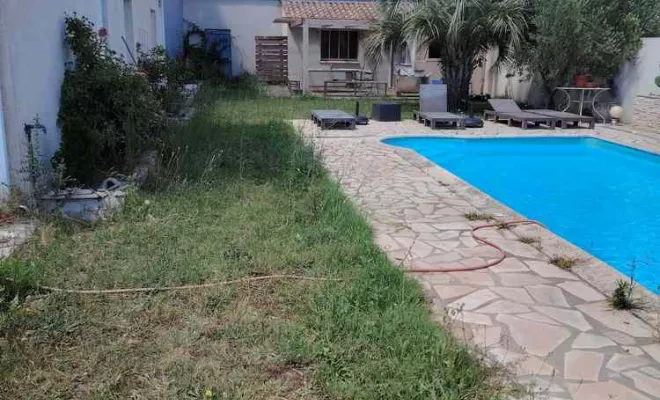 Débroussaillage, La Plaine-des-Palmistes, AZOT' ELAGAGE